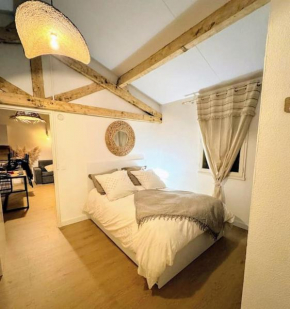 Appartement rénové 42 m2 terrasse,parking privé
